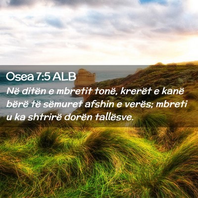 Picture 02 - Osea 7:5 ALB - Në ditën e mbretit tonë, krerët e kanë - Bible Verse Picture