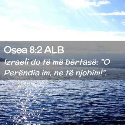 Picture 02 - Osea 8:2 ALB - Izraeli do të më bërtasë: 