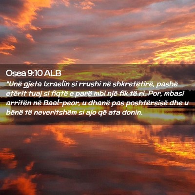 Picture 02 - Osea 9:10 ALB - 