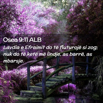 Picture 02 - Osea 9:11 ALB - Lavdia e Efraimit do të fluturojë si zog; nuk - Bible Verse Picture