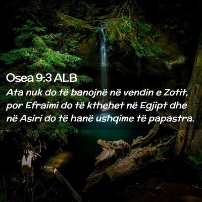 Picture 02 - Osea 9:3 ALB - Ata nuk do të banojnë në vendin e Zotit, por - Bible Verse Picture