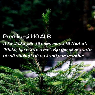 Picture 02 - Predikuesi 1:10 ALB - A ka diçka për të cilën mund të thuhet: - Bible Verse Picture