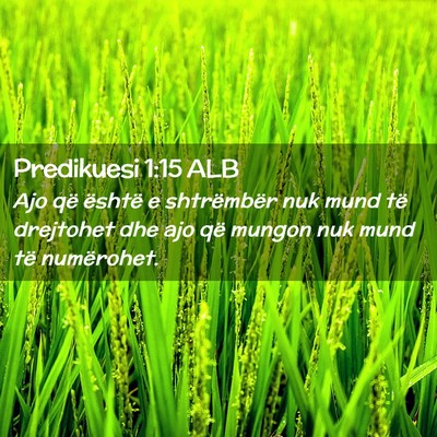 Picture 02 - Predikuesi 1:15 ALB - Ajo që është e shtrëmbër nuk mund të - Bible Verse Picture