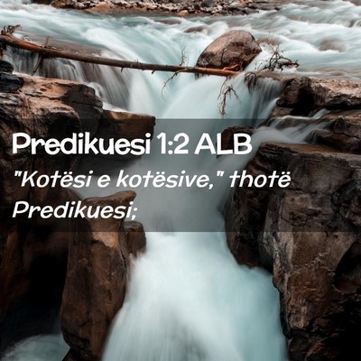 Picture 02 - Predikuesi 1:2 ALB - 