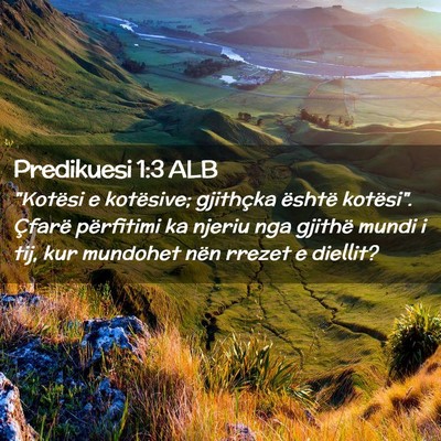 Picture 02 - Predikuesi 1:3 ALB - 