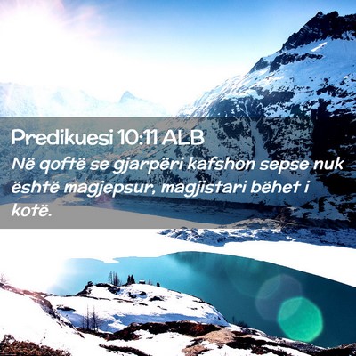 Picture 02 - Predikuesi 10:11 ALB - Në qoftë se gjarpëri kafshon sepse nuk është - Bible Verse Picture