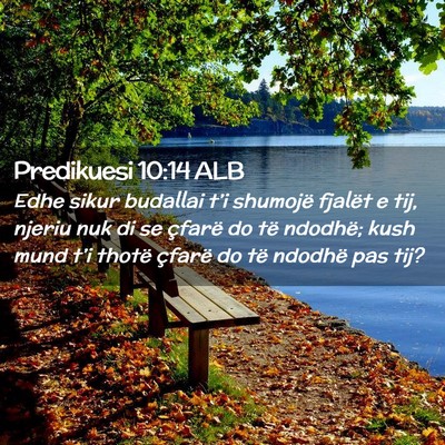 Picture 02 - Predikuesi 10:14 ALB - Edhe sikur budallai t’i shumojë fjalët e tij, - Bible Verse Picture
