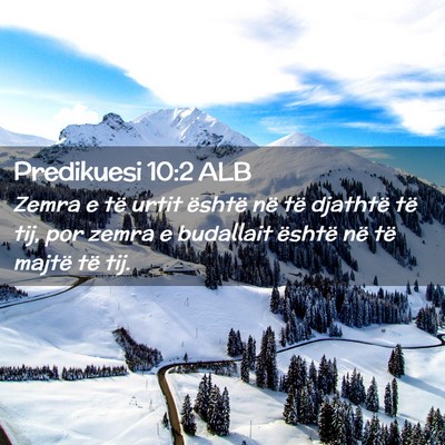Picture 02 - Predikuesi 10:2 ALB - Zemra e të urtit është në të djathtë të - Bible Verse Picture
