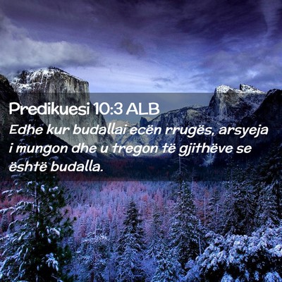 Picture 02 - Predikuesi 10:3 ALB - Edhe kur budallai ecën rrugës, arsyeja i mungon - Bible Verse Picture