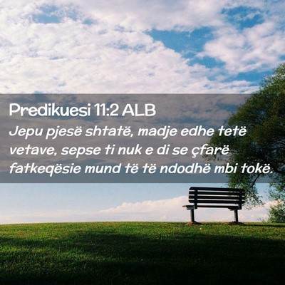 Picture 02 - Predikuesi 11:2 ALB - Jepu pjesë shtatë, madje edhe tetë vetave, - Bible Verse Picture