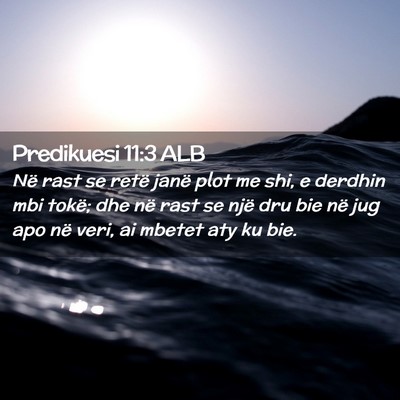 Picture 02 - Predikuesi 11:3 ALB - Në rast se retë janë plot me shi, e derdhin - Bible Verse Picture