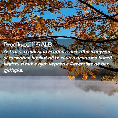 Picture 02 - Predikuesi 11:5 ALB - Ashtu si ti nuk njeh rrugën e erës dhe - Bible Verse Picture