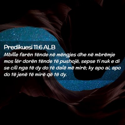 Picture 02 - Predikuesi 11:6 ALB - Mbille farën tënde në mëngjes dhe në - Bible Verse Picture