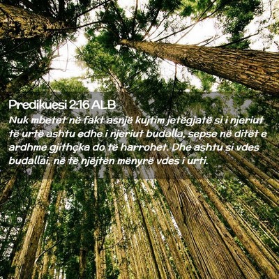 Picture 02 - Predikuesi 2:16 ALB - Nuk mbetet në fakt asnjë kujtim jetëgjatë si - Bible Verse Picture