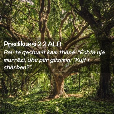 Picture 02 - Predikuesi 2:2 ALB - Për të qeshurit kam thënë: 