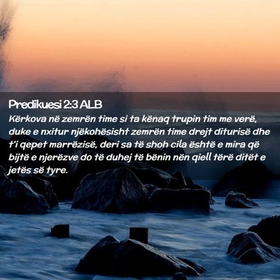 Picture 02 - Predikuesi 2:3 ALB - Kërkova në zemrën time si ta kënaq trupin tim - Bible Verse Picture