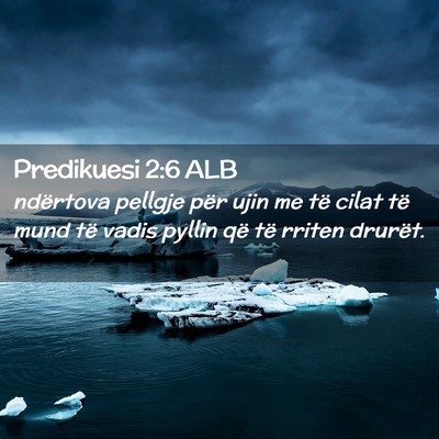 Picture 02 - Predikuesi 2:6 ALB - ndërtova pellgje për ujin me të cilat të mund - Bible Verse Picture