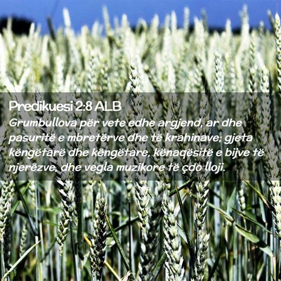 Picture 02 - Predikuesi 2:8 ALB - Grumbullova për vete edhe argjend, ar dhe - Bible Verse Picture