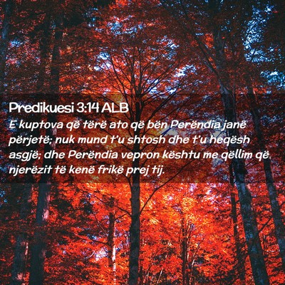 Picture 02 - Predikuesi 3:14 ALB - E kuptova që tërë ato që bën Perëndia janë - Bible Verse Picture