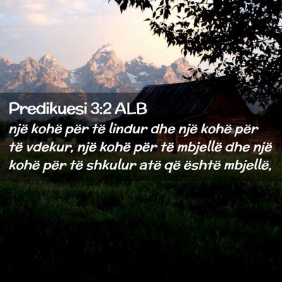 Picture 02 - Predikuesi 3:2 ALB - një kohë për të lindur dhe një kohë për - Bible Verse Picture