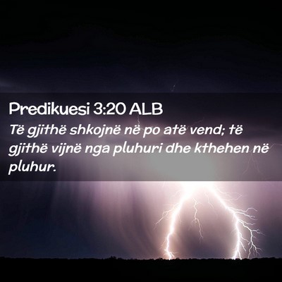 Picture 02 - Predikuesi 3:20 ALB - Të gjithë shkojnë në po atë vend; të - Bible Verse Picture