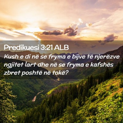 Picture 02 - Predikuesi 3:21 ALB - Kush e di në se fryma e bijve të njerëzve - Bible Verse Picture
