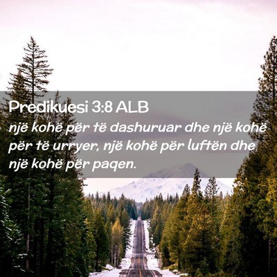 Picture 02 - Predikuesi 3:8 ALB - një kohë për të dashuruar dhe një kohë për - Bible Verse Picture