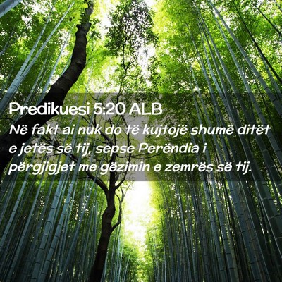Picture 02 - Predikuesi 5:20 ALB - Në fakt ai nuk do të kujtojë shumë ditët e - Bible Verse Picture