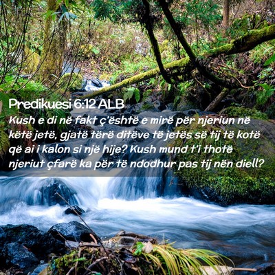 Picture 02 - Predikuesi 6:12 ALB - Kush e di në fakt ç’është e mirë për - Bible Verse Picture