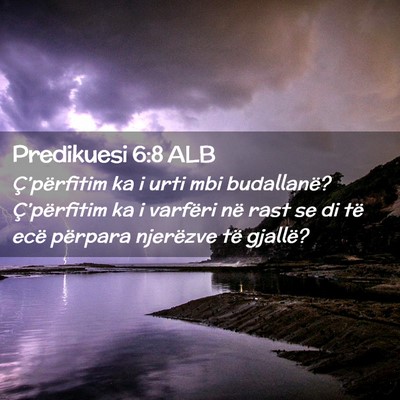 Picture 02 - Predikuesi 6:8 ALB - Ç’përfitim ka i urti mbi budallanë? - Bible Verse Picture