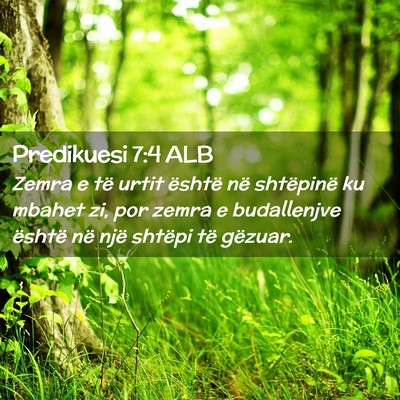 Picture 02 - Predikuesi 7:4 ALB - Zemra e të urtit është në shtëpinë ku - Bible Verse Picture