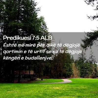 Picture 02 - Predikuesi 7:5 ALB - Éshtë më mirë për dikë të dëgjojë - Bible Verse Picture
