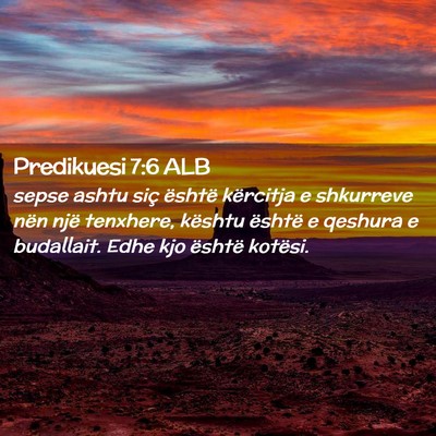 Picture 02 - Predikuesi 7:6 ALB - sepse ashtu siç është kërcitja e shkurreve - Bible Verse Picture