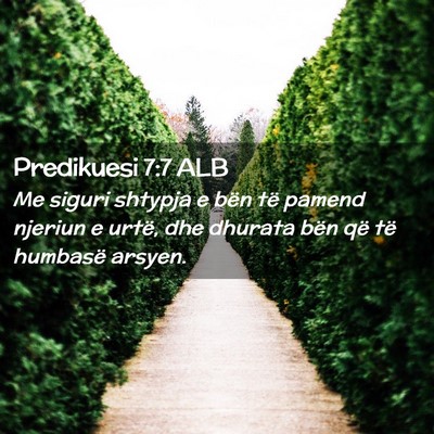 Picture 02 - Predikuesi 7:7 ALB - Me siguri shtypja e bën të pamend njeriun e - Bible Verse Picture