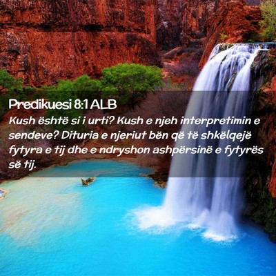 Picture 02 - Predikuesi 8:1 ALB - Kush është si i urti? Kush e njeh interpretimin - Bible Verse Picture