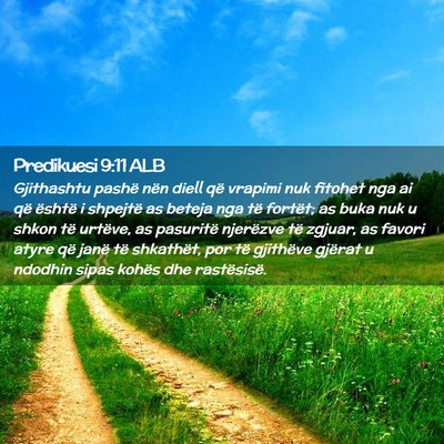 Picture 02 - Predikuesi 9:11 ALB - Gjithashtu pashë nën diell që vrapimi nuk - Bible Verse Picture