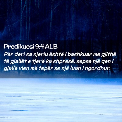 Picture 02 - Predikuesi 9:4 ALB - Për deri sa njeriu është i bashkuar me gjithë - Bible Verse Picture