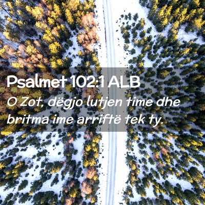 Picture 02 - Psalmet 102:1 ALB - O Zot, dëgjo lutjen time dhe britma ime arriftë - Bible Verse Picture