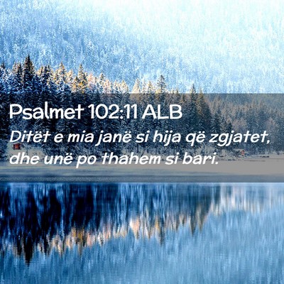 Picture 02 - Psalmet 102:11 ALB - Ditët e mia janë si hija që zgjatet, dhe unë - Bible Verse Picture