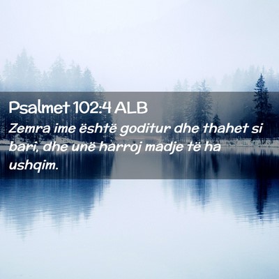 Picture 02 - Psalmet 102:4 ALB - Zemra ime është goditur dhe thahet si bari, dhe - Bible Verse Picture