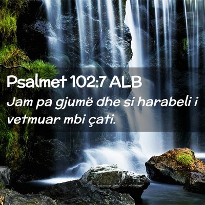 Picture 02 - Psalmet 102:7 ALB - Jam pa gjumë dhe si harabeli i vetmuar mbi - Bible Verse Picture