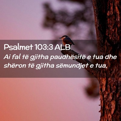 Picture 02 - Psalmet 103:3 ALB - Ai fal të gjitha paudhësitë e tua dhe shëron - Bible Verse Picture