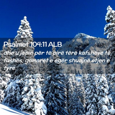 Picture 02 - Psalmet 104:11 ALB - dhe u japin për të pirë tërë kafshëve të - Bible Verse Picture