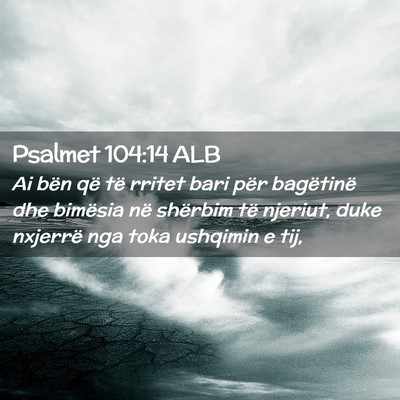 Picture 02 - Psalmet 104:14 ALB - Ai bën që të rritet bari për bagëtinë dhe - Bible Verse Picture