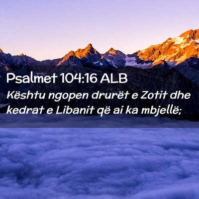 Picture 02 - Psalmet 104:16 ALB - Kështu ngopen drurët e Zotit dhe kedrat e - Bible Verse Picture
