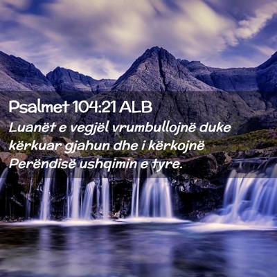 Picture 02 - Psalmet 104:21 ALB - Luanët e vegjël vrumbullojnë duke kërkuar - Bible Verse Picture