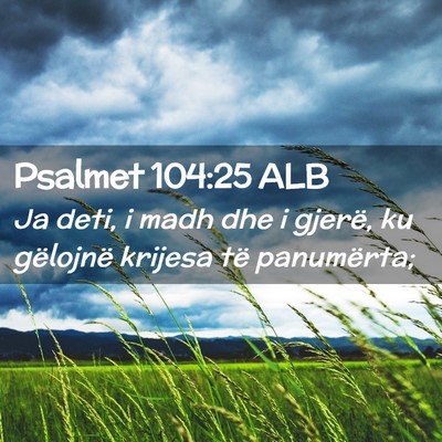 Picture 02 - Psalmet 104:25 ALB - Ja deti, i madh dhe i gjerë, ku gëlojnë - Bible Verse Picture