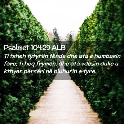 Picture 02 - Psalmet 104:29 ALB - Ti fsheh fytyrën tënde dhe ata e humbasin fare; - Bible Verse Picture
