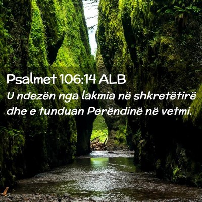 Picture 02 - Psalmet 106:14 ALB - U ndezën nga lakmia në shkretëtirë dhe e - Bible Verse Picture