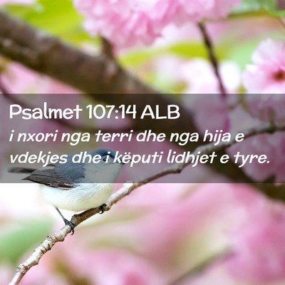 Picture 02 - Psalmet 107:14 ALB - i nxori nga terri dhe nga hija e vdekjes dhe i - Bible Verse Picture